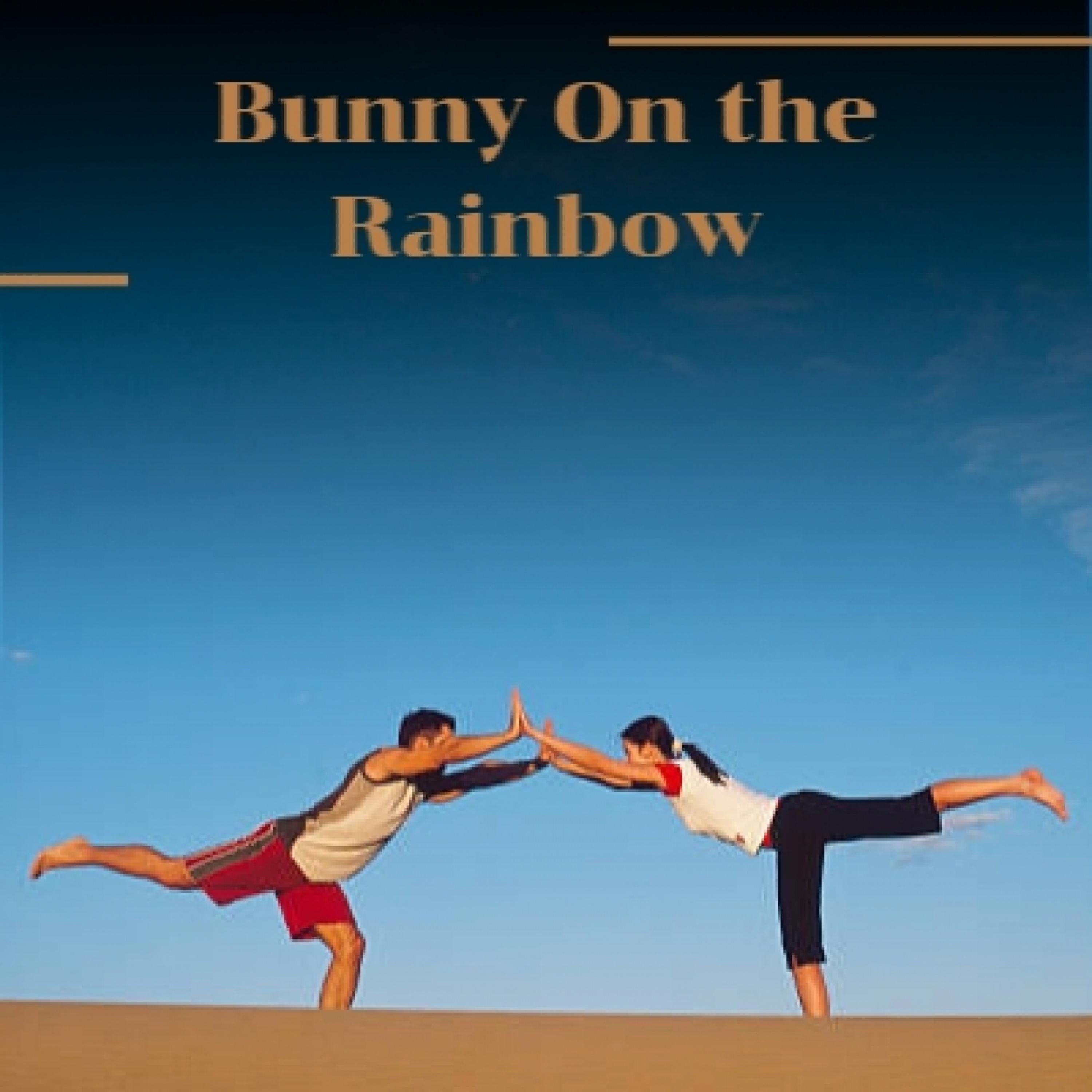 Ich Bin Ja Nur Ein Troubadour