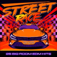 Street Race 2022 (25 Big Room EDM Hits)