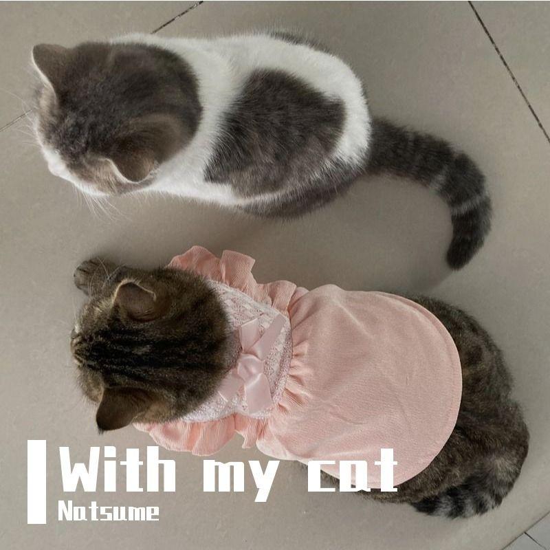 今天只做一件事