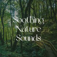 Soothing Nature Sounds