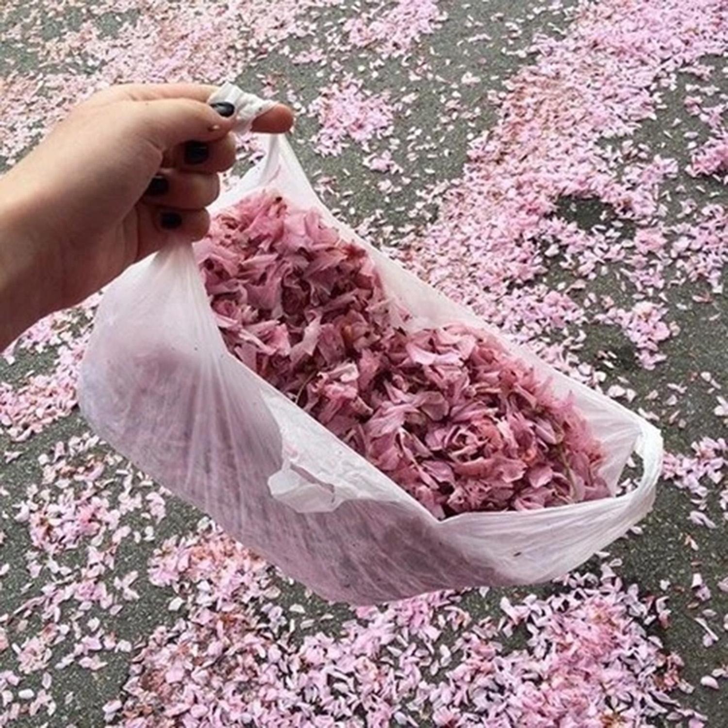 i ain't srry_silky soap_i ain't srry | 在线播放_i ain't srry歌词_i ain't srry下载 | 网易云音乐