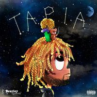 T.A.P.I.A