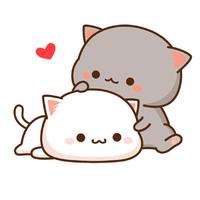 Wall-Q