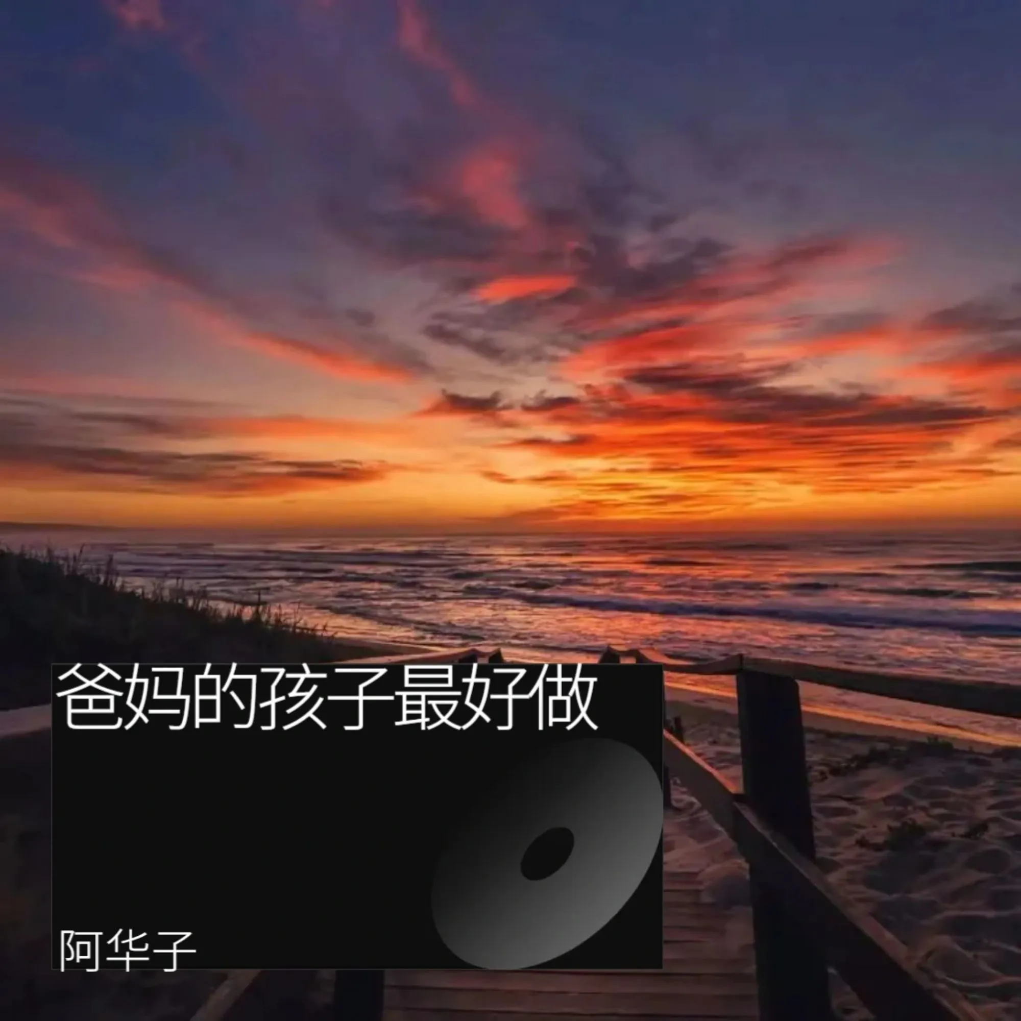 这世界谁记得我来过 - 阿华子封面