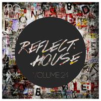 Reflect:House, Vol. 24