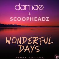 Wonderful Days (Remix Edition)