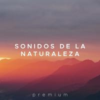 Sonidos de la Naturaleza Premium - Musica Relajante para tu Calma, Tranquilidad y Paz Interior