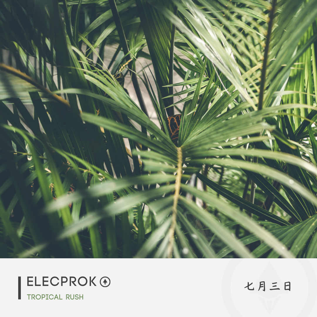 Tropical Rush_Elecprok_Tropical Rush | 在线播放_Tropical Rush歌词_Tropical Rush下载 | 网易云音乐