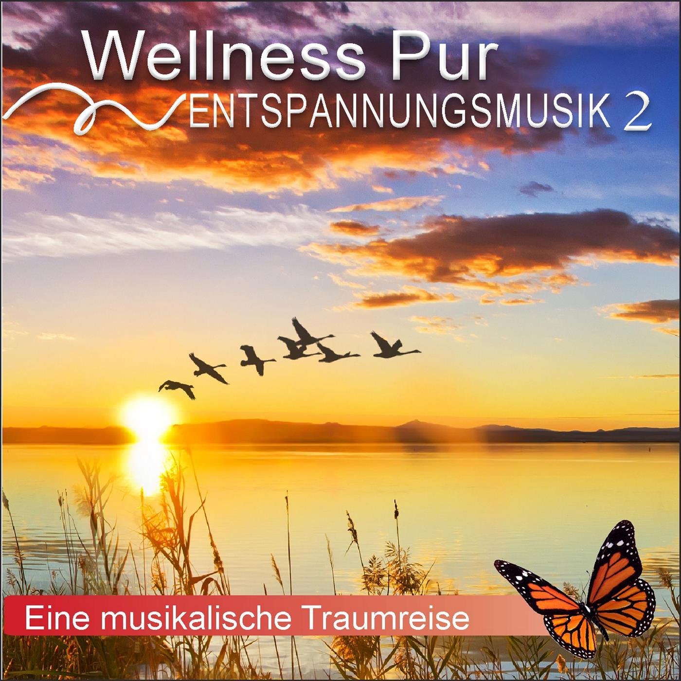 Melodien der Natur_Wellness Pur_Entspannungsmusik 2, eine musikalische Traumreise | 在线播放_Melodien der Natur歌词_Melodien der Natur下载 | 网易云音乐
