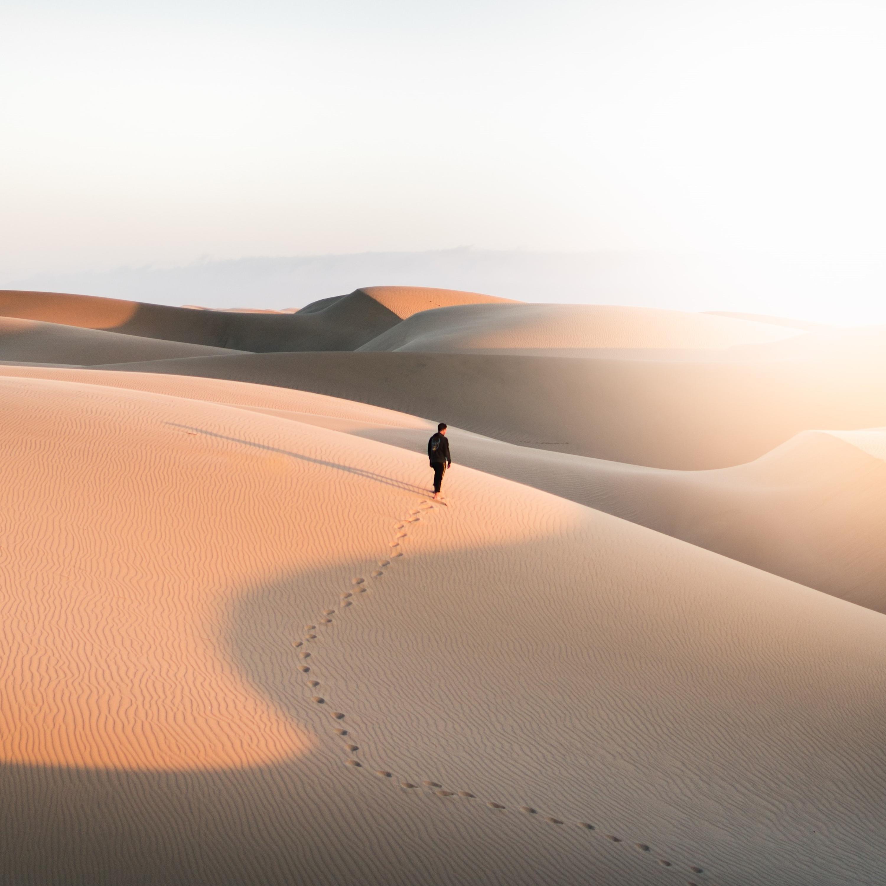 Следы в пустыне