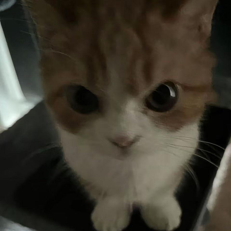 我耍qq飞车（cover13FlowMic&Ash-1）