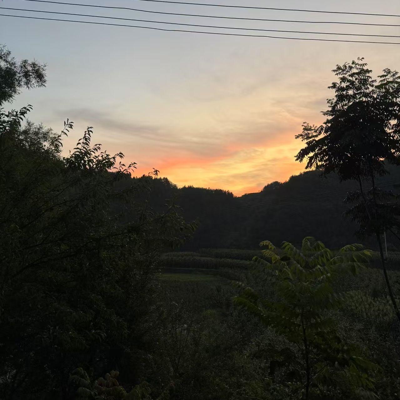 夏天的橘子汽水 伴奏封面