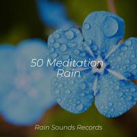 50 Meditation Rain