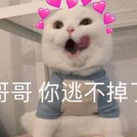 胖安呐