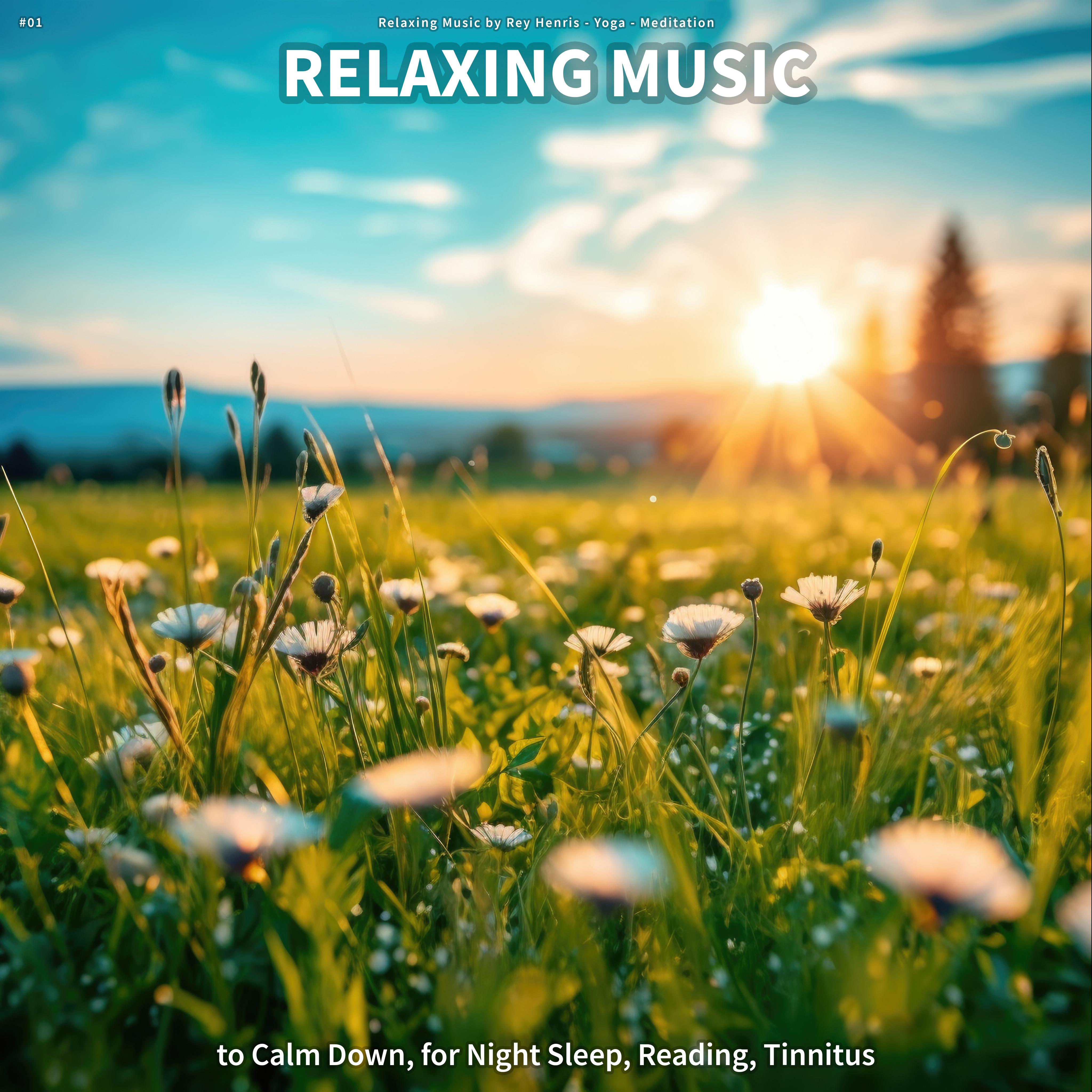 01-relaxing-music-to-calm-down-for-night-sleep-reading-tinnitus