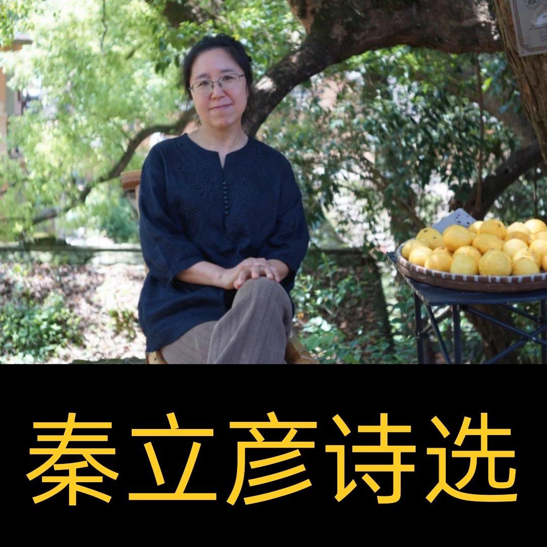 缝缝补补（秦立彦）封面