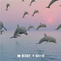 刀枪炮压迫小曲