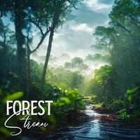 Forest Stream (Healing Nature Sounds, Rainforest, Birds for Relax Mind, Sleep)