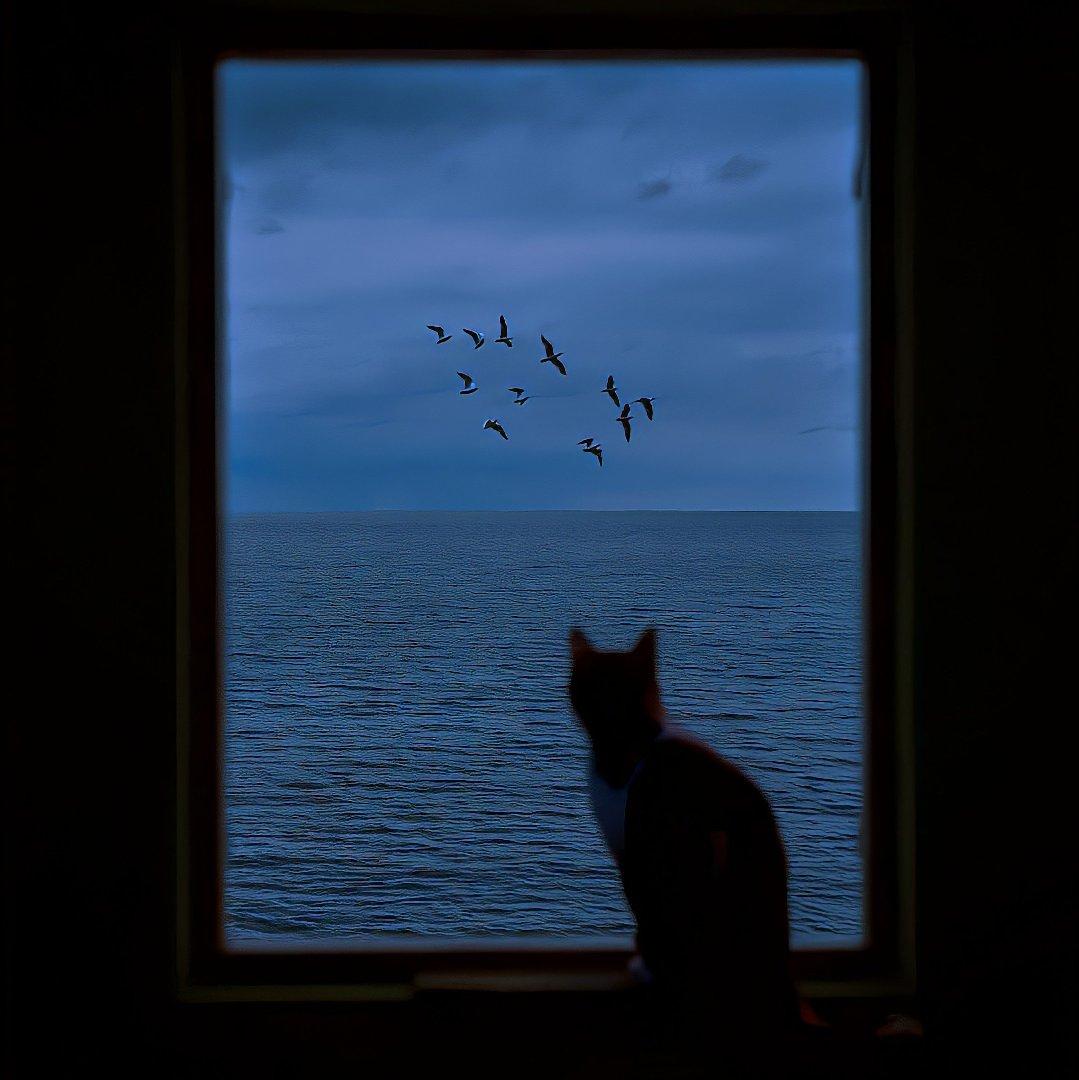  Flowing water and rain 