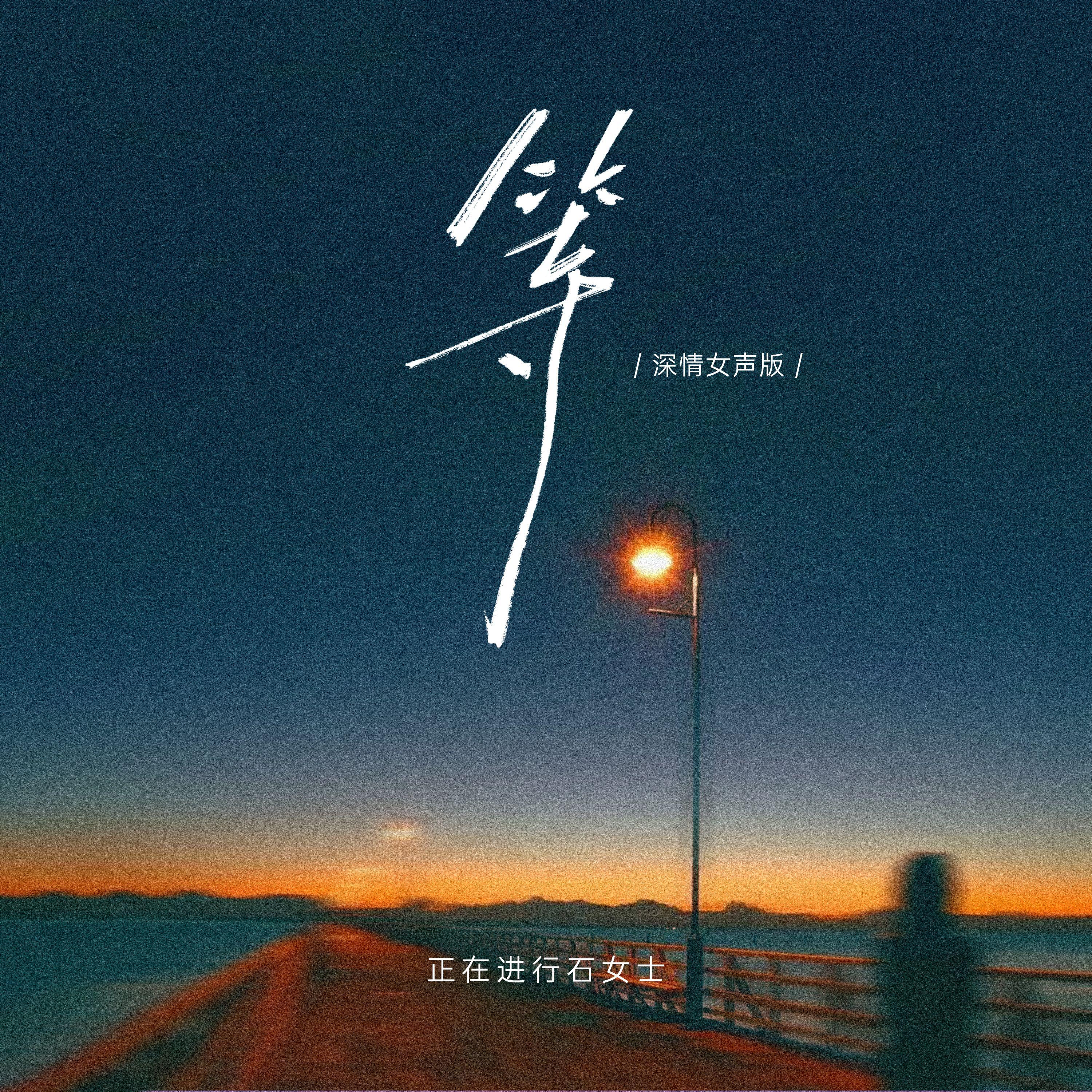 等 (DJ版) - 正在进行石女士封面