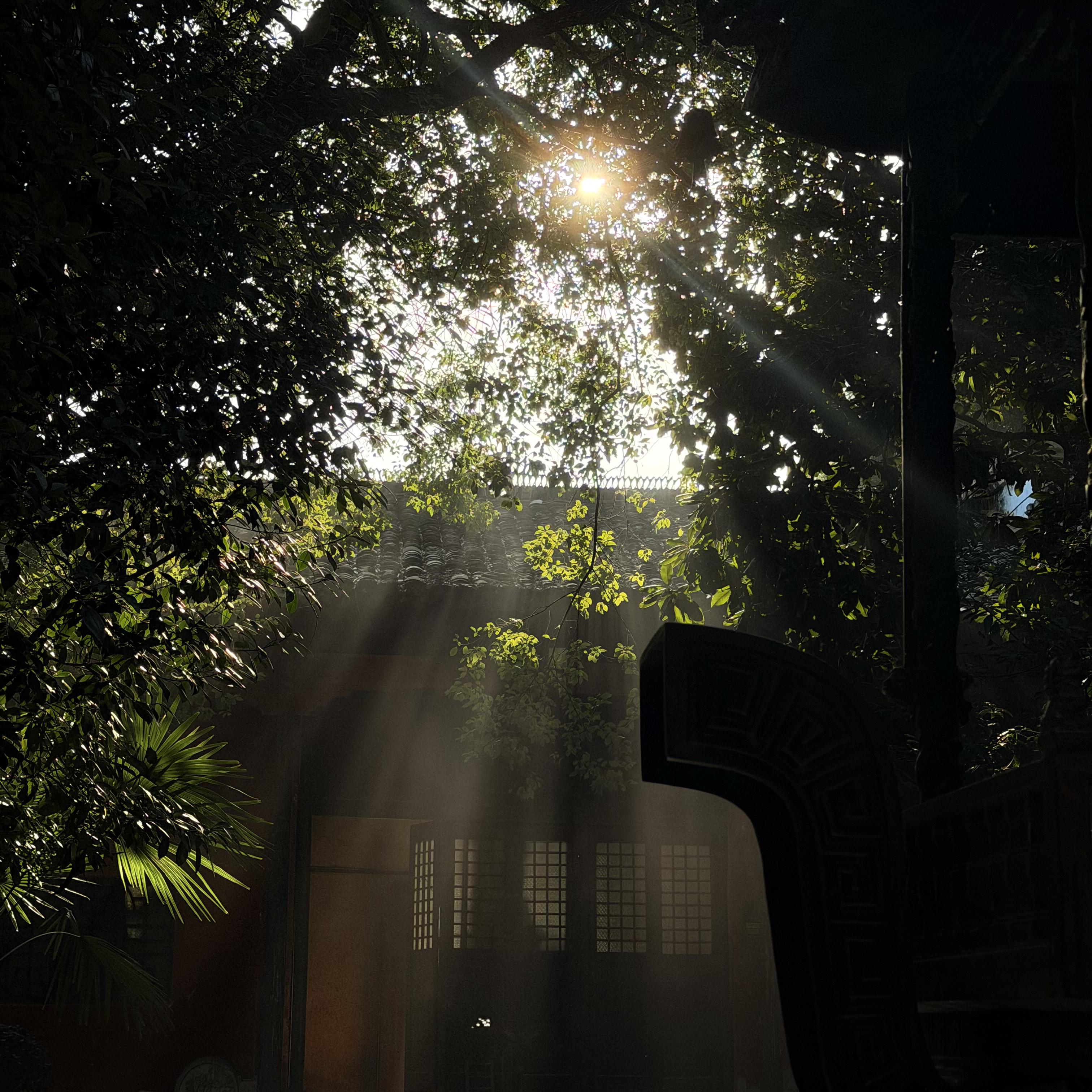 张景麟-祝香咒Mix.wav（李化珩 remix）