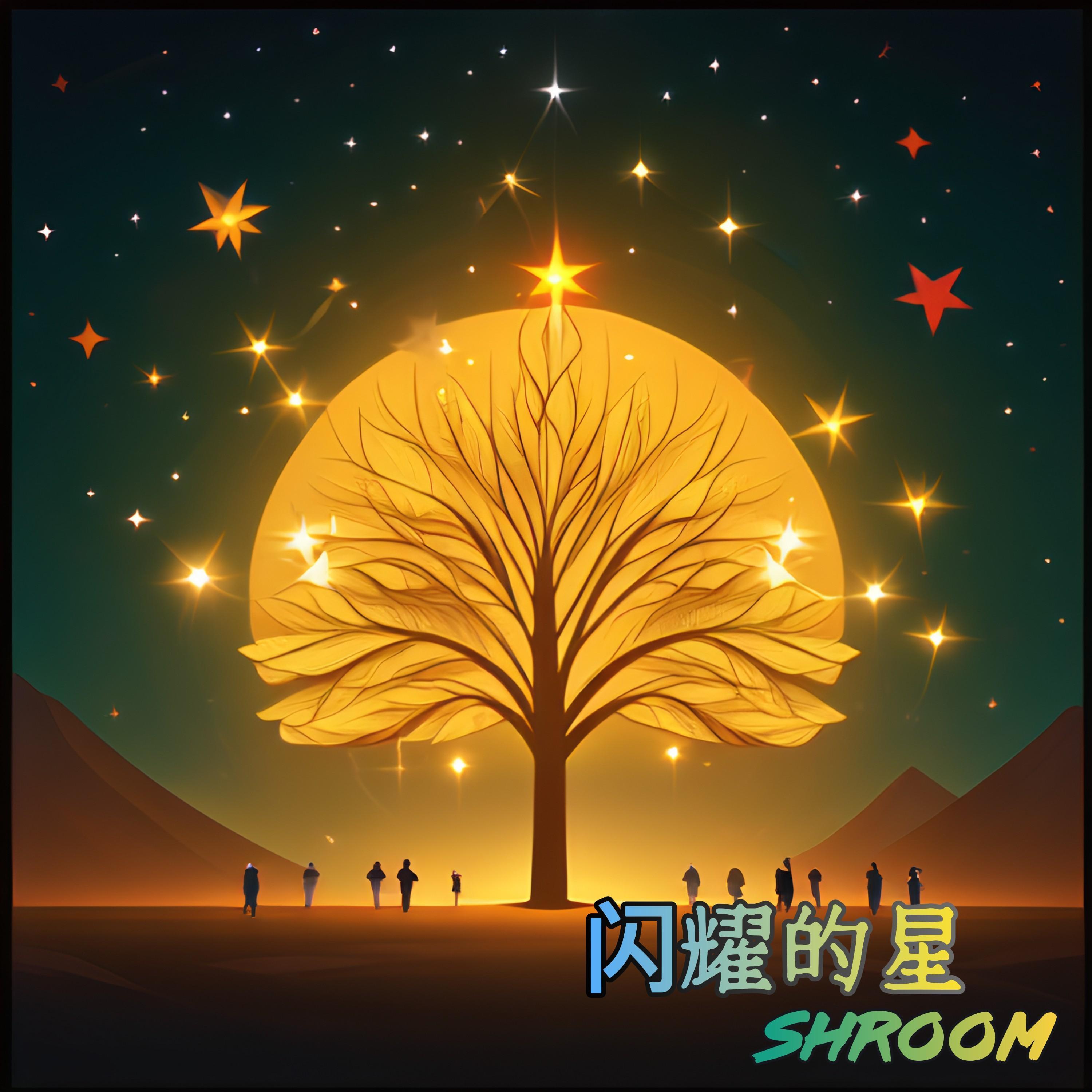 闪耀的星封面