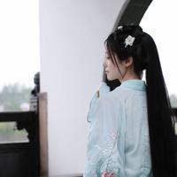 长作岭南仙