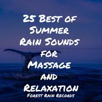 25 Best of Summer Rain Sounds for Massage and Relaxation