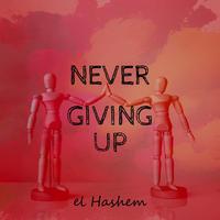 Never Giving Up