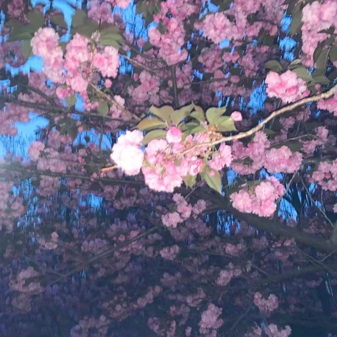 遇见你第一天之后的故事........