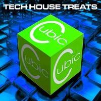 Cubic Tech House Treats, Vol. 31