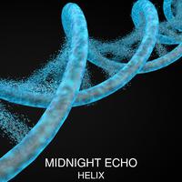 Midnight Echo