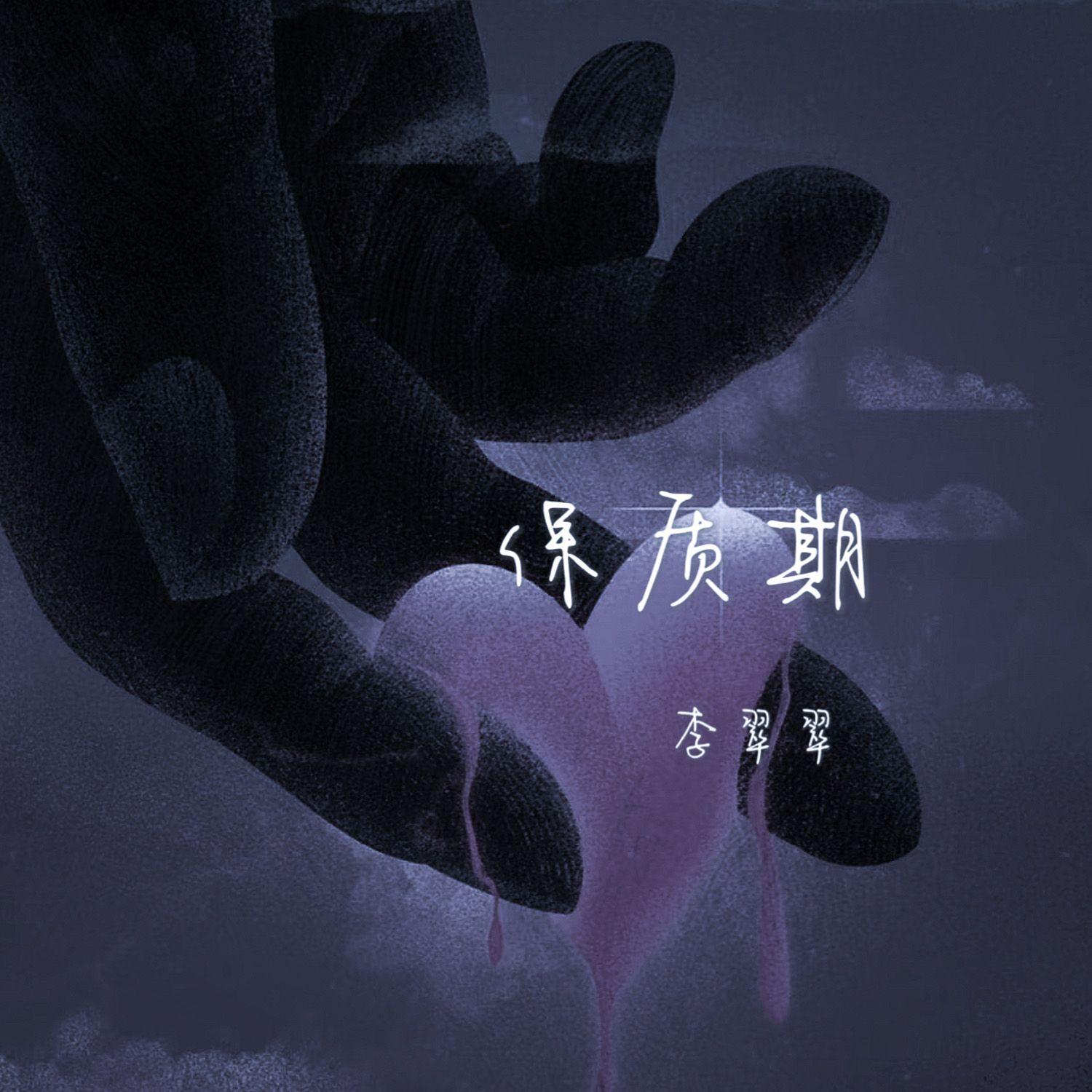 保质期（伴奏）封面
