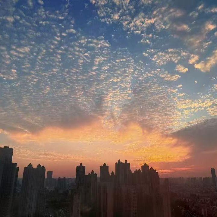 搁浅封面