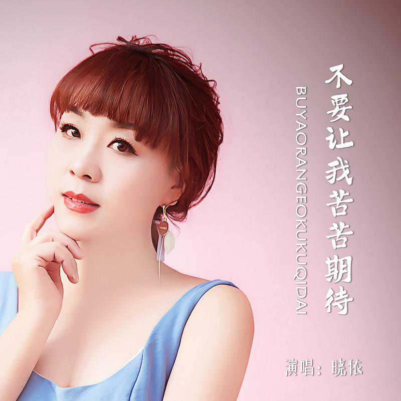 不要让我苦苦期待封面