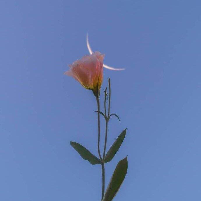 song-img