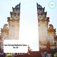 Soul Calming Meditation Tunes, Vol. 03