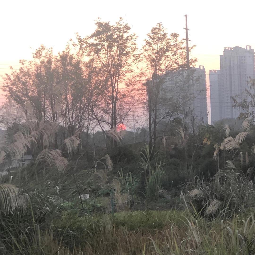 漫话（翻自 W8VES）封面