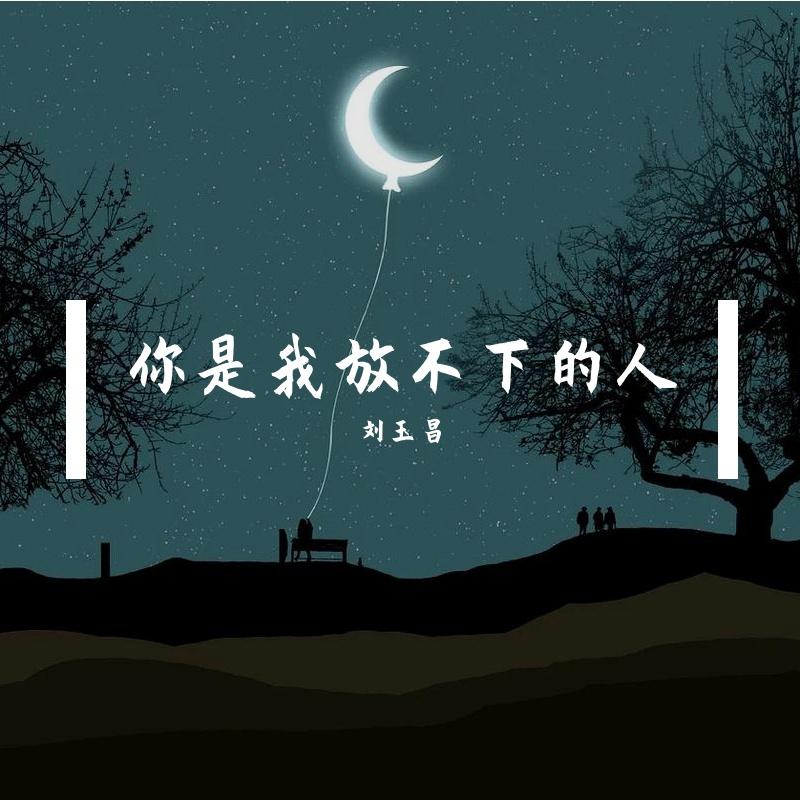 你是我放不下的人封面