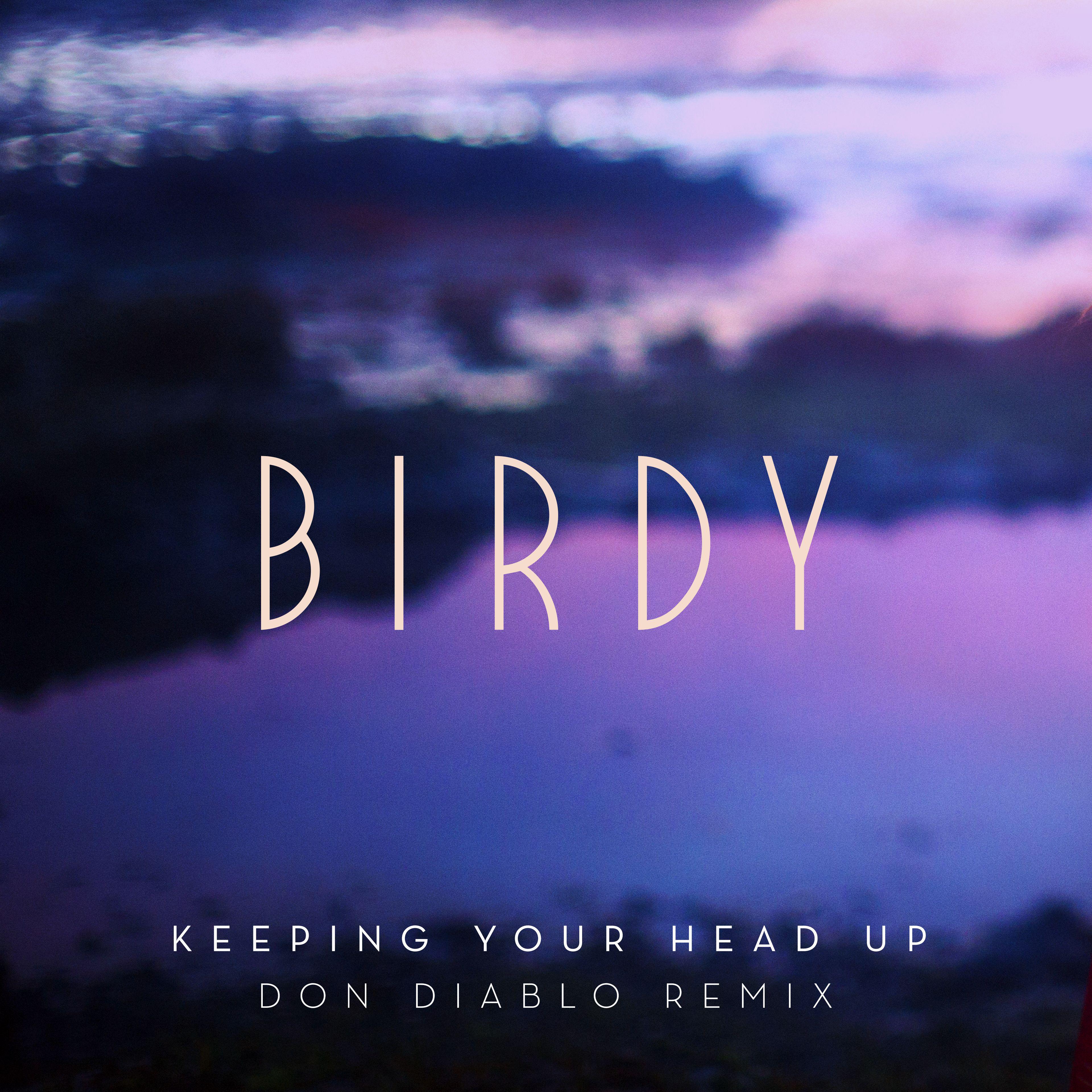 keeping-your-head-up-don-diablo-remix-radio-edit