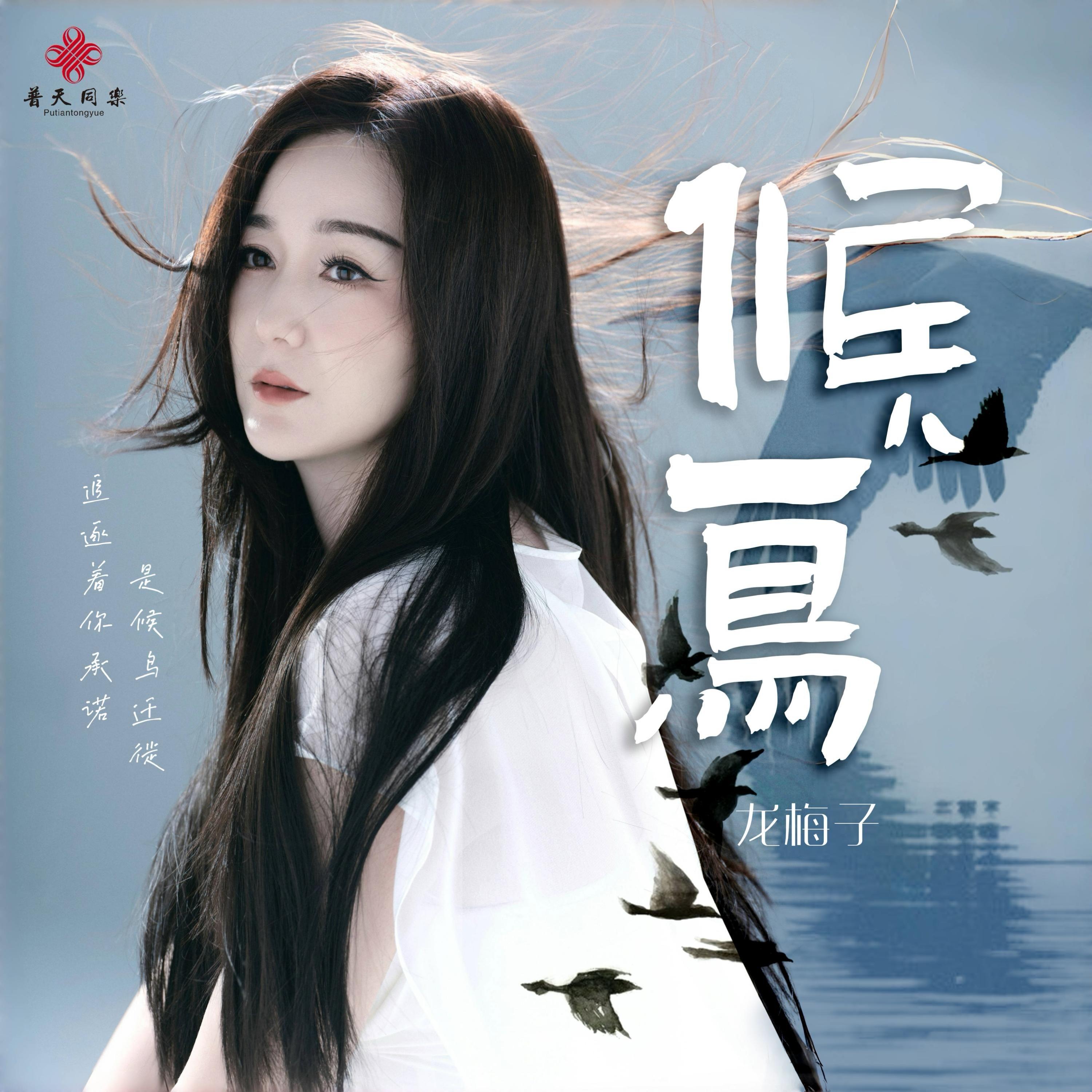 龙梅子 ·《候鸟》