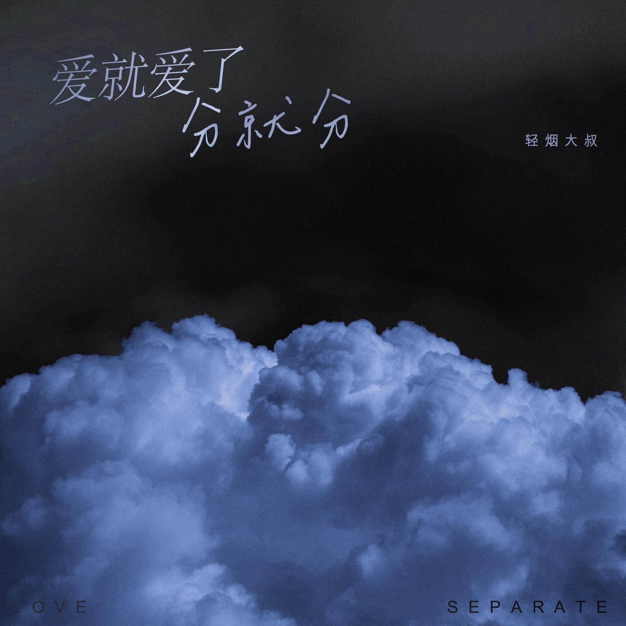 爱都爱了分就分（和声伴奏） - 轻烟大叔封面