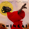 Shingai - Coming Home