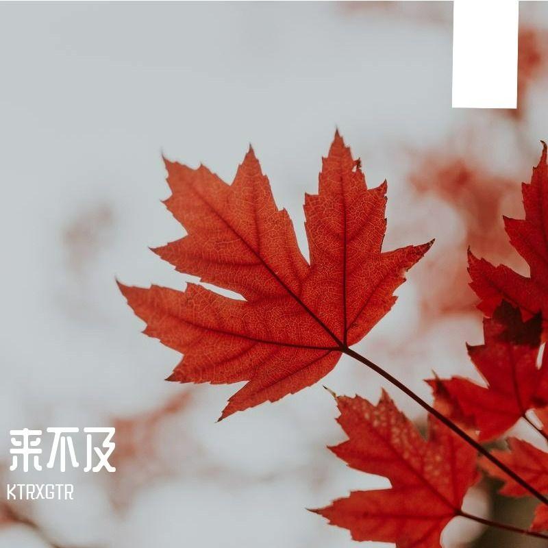 傻子才悲伤封面