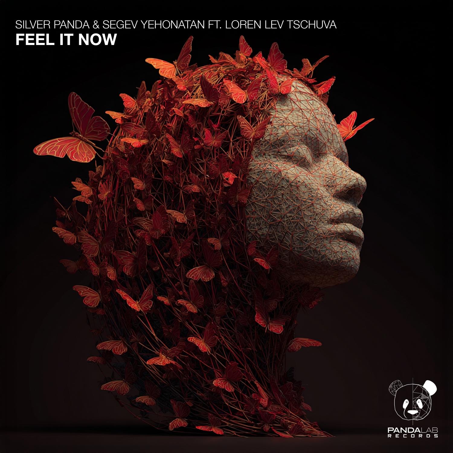 Feel It Now (Extended Mix)封面