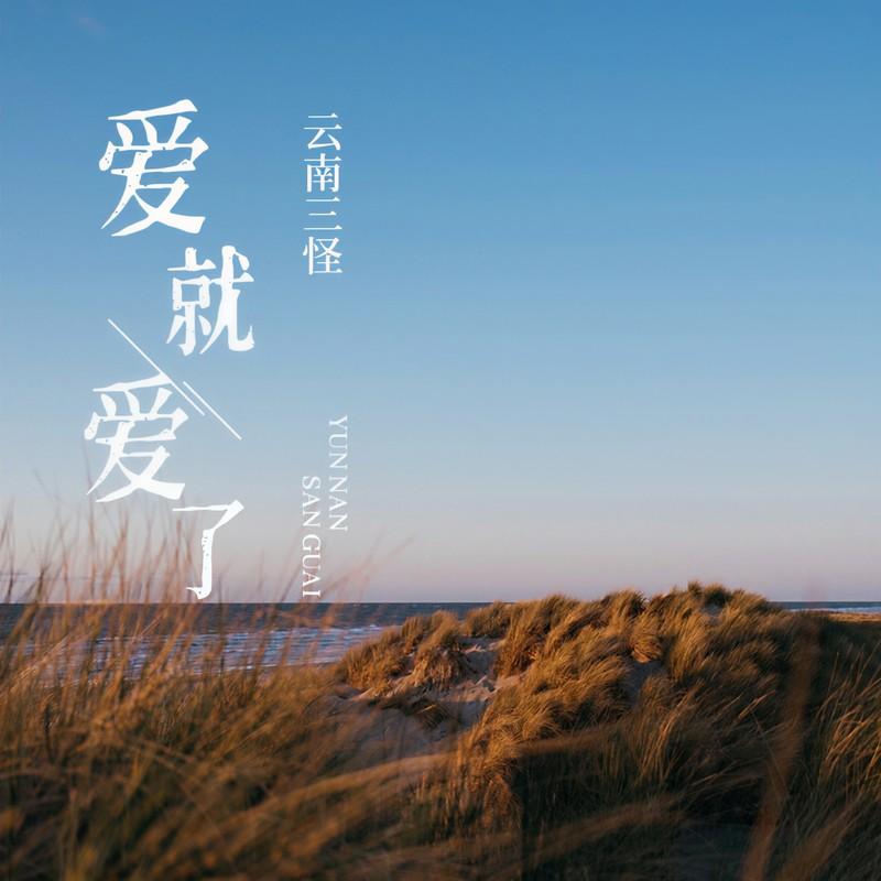 爱就爱了 (DJ R7版)封面