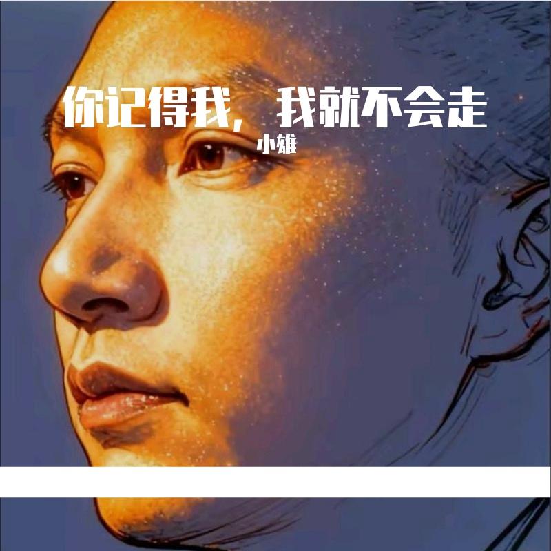你记得我，我就不会走封面
