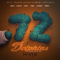 72 Dolphins