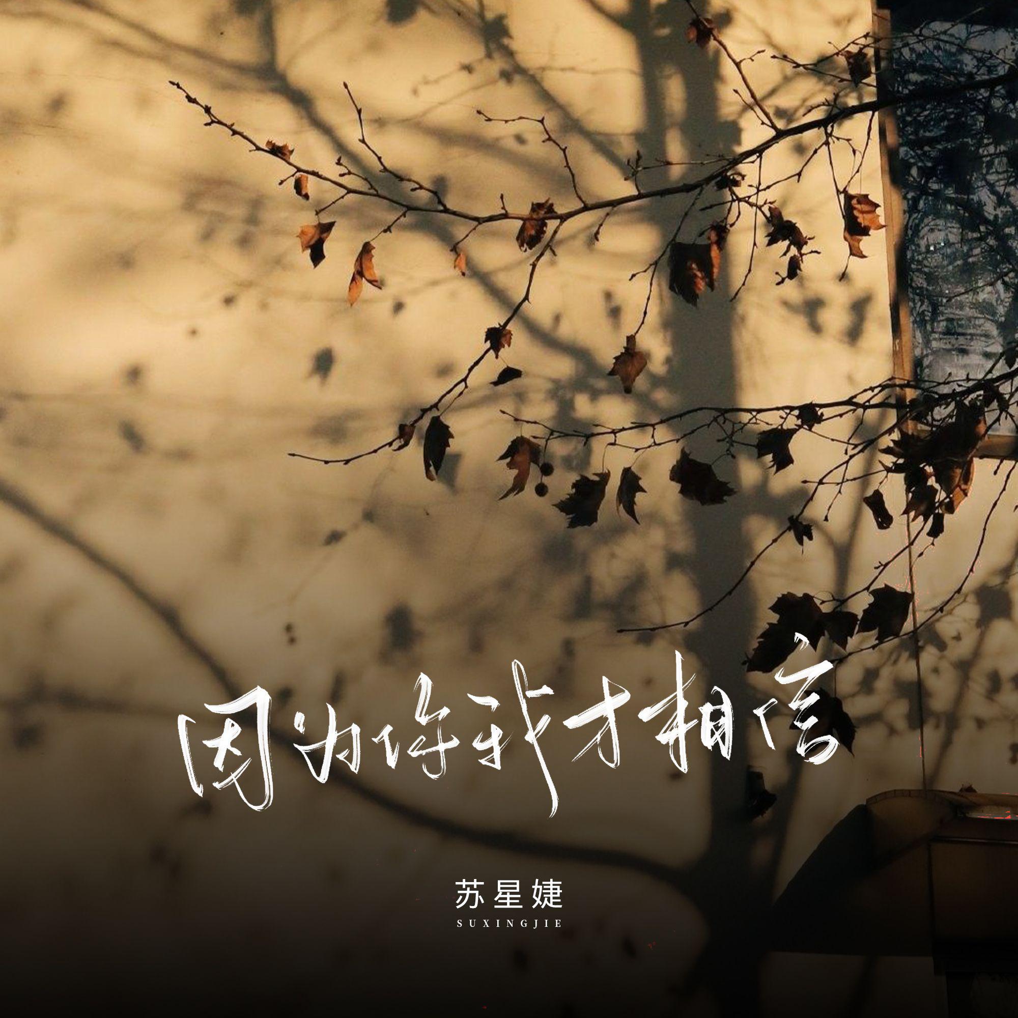 因为你我才相信专辑