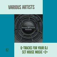 Q-TRACKS FOR YOUR DJ SET HOUSE MUSIC 2